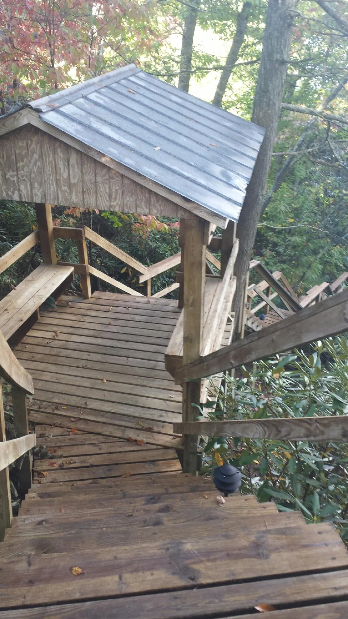 Metal roofed shelter over wooden steps on a wooded walkway — Skylight Repair & Installation work by our crew in Anderson Island