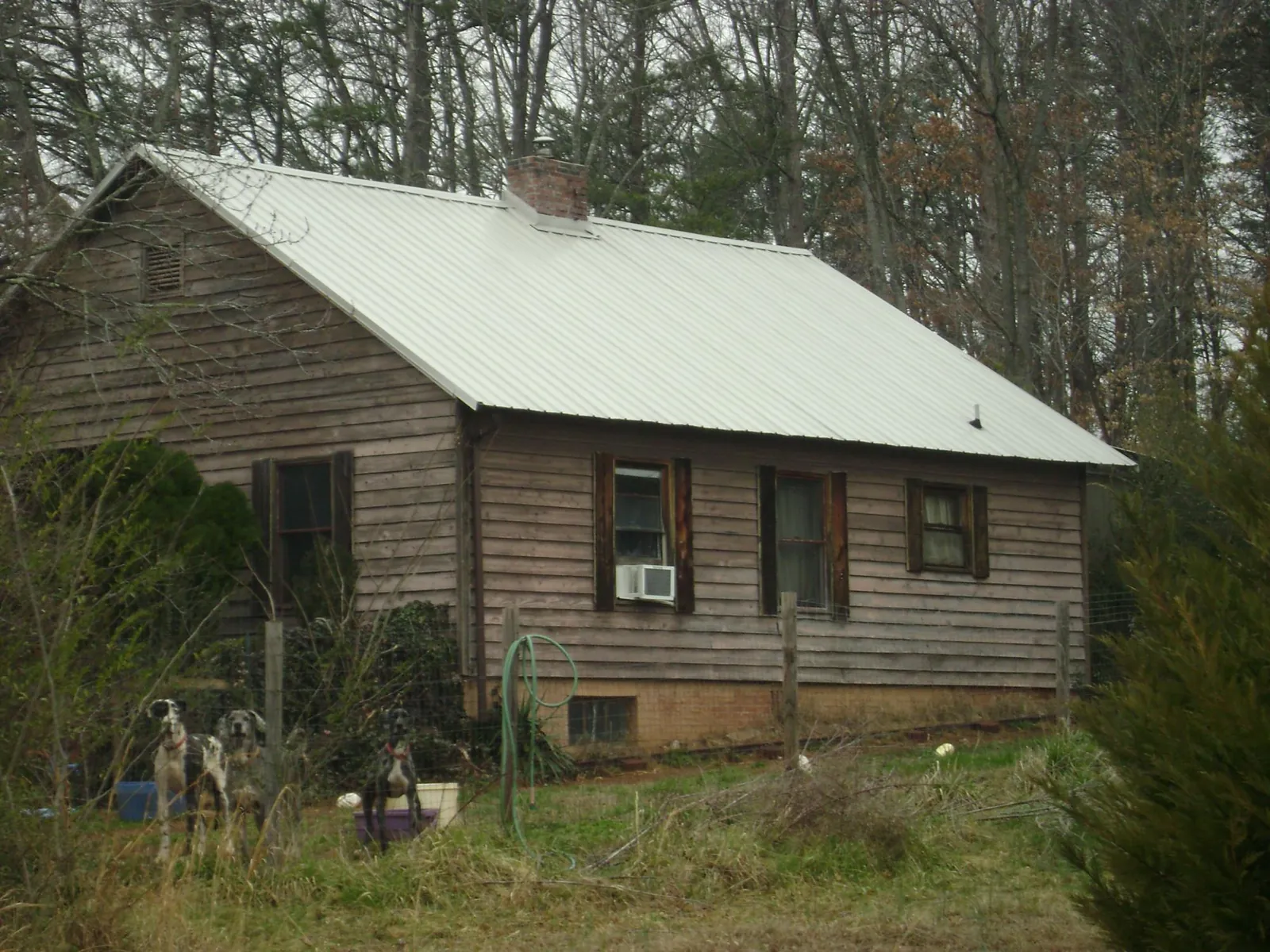 White metal roof on an old wood sided farmhouse, from a Asphalt Shingle Roof Repair job in Anderson Island